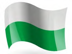 Bandera de la institución: franja blanca superior y franja verde inferior